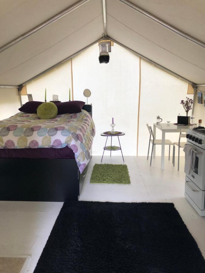 Vines And Puppies Glamping Hideaway Hotel Jade City Kültér fotó